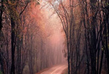 竞技宝：[棋牌]第二届晋城全国职业围棋公开赛启动.