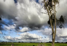 [高尔夫]德尚博涅曼领衔亚巡国际系列赛印度站 许龙一参赛.