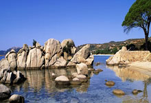 在北京奥运会收获一金三银的她，当选国际奥委会主席了人民日报客户端.